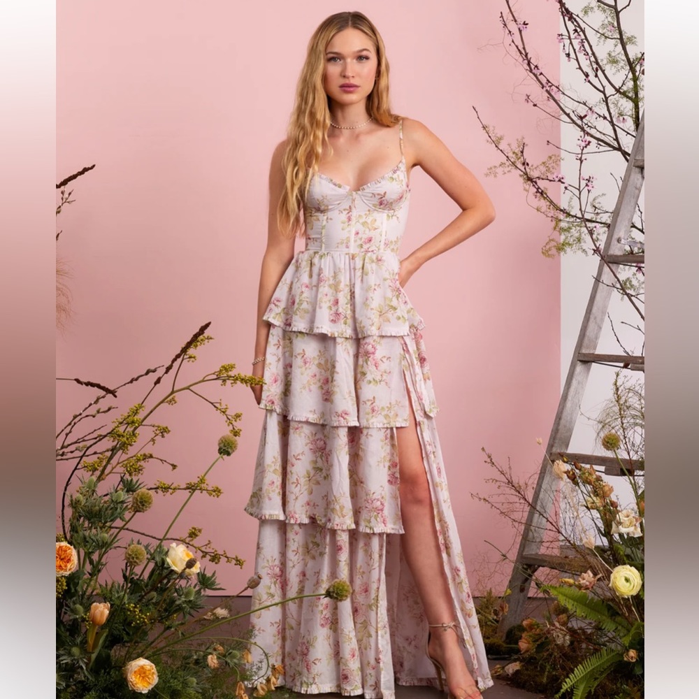 V Chapman Caterina Dress in Rose Print